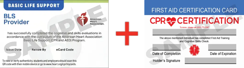 Sample American Heart Association AHA BLS CPR Card Certification and First Aid Certification Card from CPR Certification Mesa